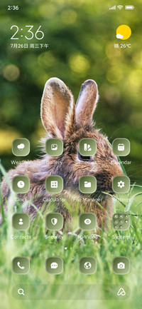 Rabbit in Grass