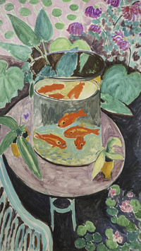 马蒂斯-金鱼