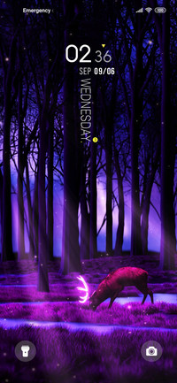 Forest of Illusion