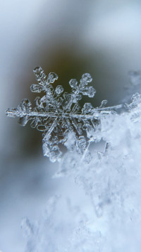 Macro  (21)