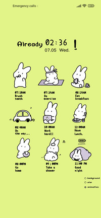 Rabbit paper daily