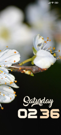 White Leaf