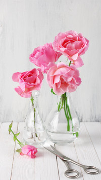 How to make exquisite hydroponic potted plants 3