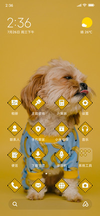 Puppy_3MDS