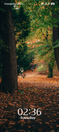 Hidden Path