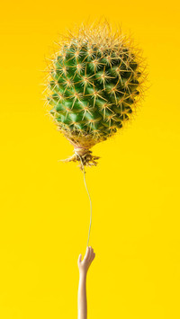 PAIXIN-plant (3)