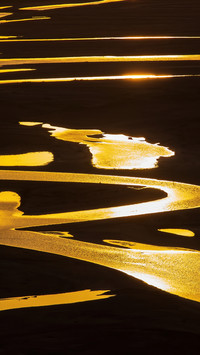 Capture the gilded tidal flats in the frame