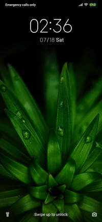 Green Plants_3MDS