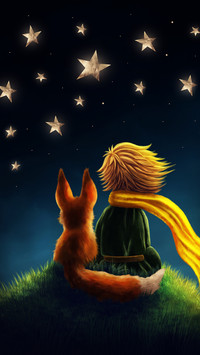 A kind fox you dont know 25