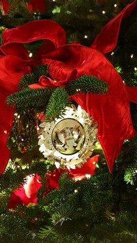 Exposed christmas decorations inside the white house to