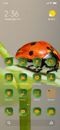 nature ladybug