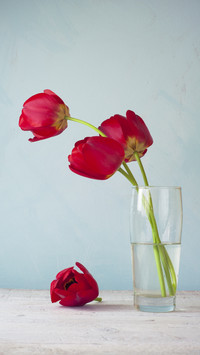 Suitable for raising flowers at home