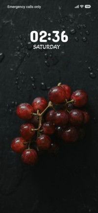 Midnight Berries
