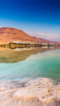 There is life in the Dead Sea 61