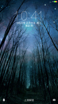 密林夜空