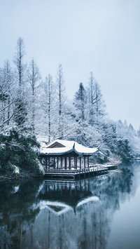 The heavy snowfall has arrived and mid winter has begun