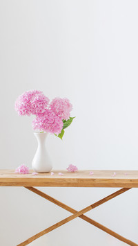 pink hydrangea in white vase on wooden shelf on wall