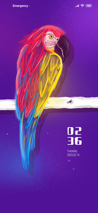 Colorful macaw