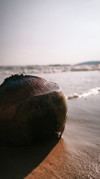 Stranded
