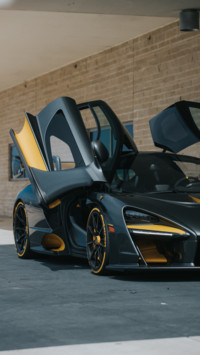 Exotic (7)