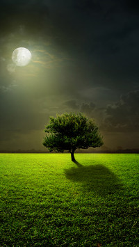 Green eye protection prairie wallpaper