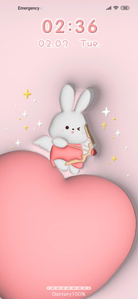 Cupid Rabbit