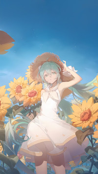 初音的梦与晴色