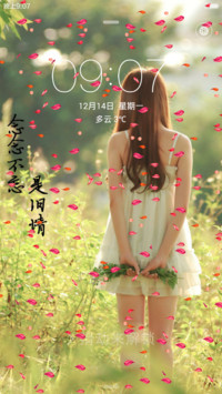 恋恋不忘(花瓣动态)