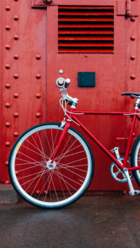 Bicycle (6)