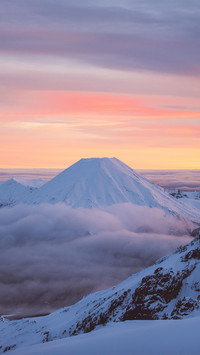 雪山将军