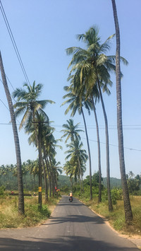 Goa (20)