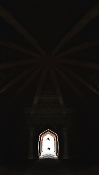 43