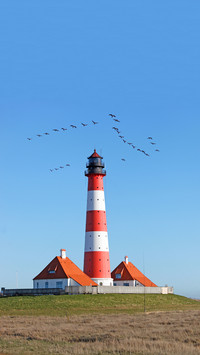 Germany north frisia westerhever eiderstedt