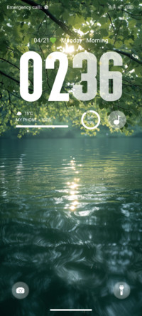 Green Forest