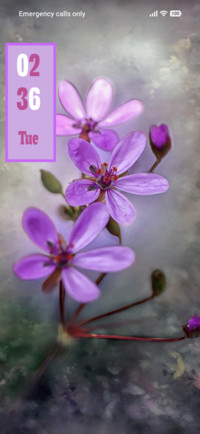 Violet Flower