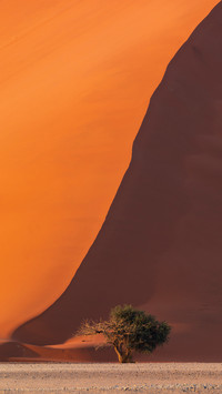 The desert is clouded and the sky is vast
