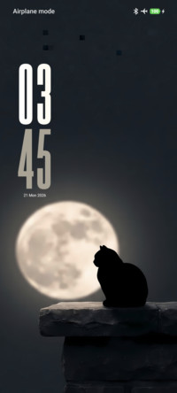Moon Cat
