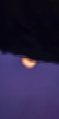 Purple Style3.jpg