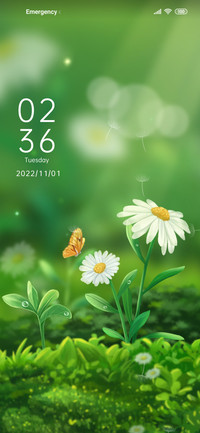 Daisy+flower