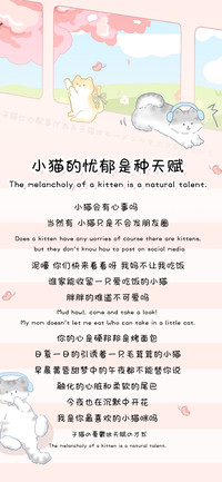 小猫的忧郁是种天赋