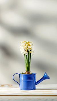 Table background of free space and spring fresh flowers