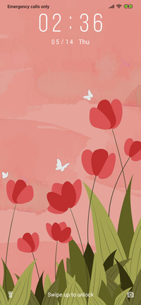 Poppy Flower_3MDP