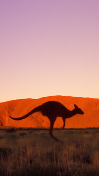 Australia