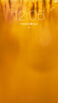 VOTO 免费版