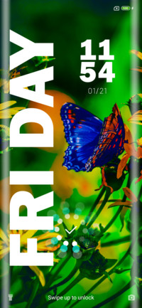 Blue Butterfly