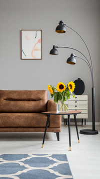 Principles for furniture placement 2