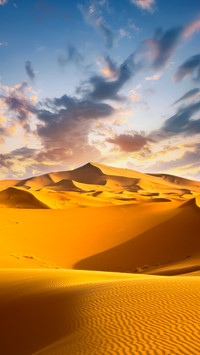 The Sun Shines on The Golden Desert