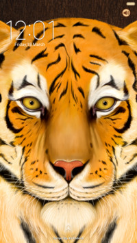 The Tiger Roar