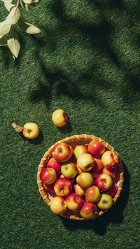 Apple Still Life Photography