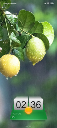 rain lemon